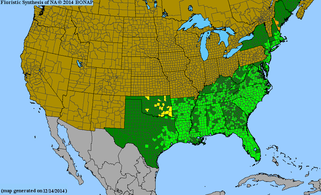 County distribution map of Symphyotrichum dumosum var. dumosum - Rice Button American-Aster